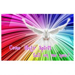 Come Holy Spirit Hang Flag