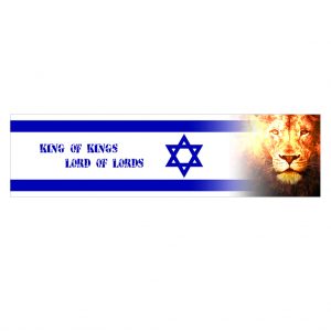 Star of David + Lion Of Judah (Long Flag)