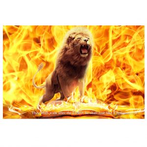 Fire Lion of Judah