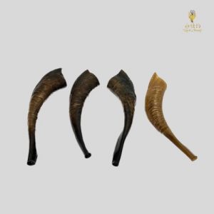 El Gibbor Yericho Shofar - Semi Polish