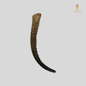 Gideon Sword Shofar